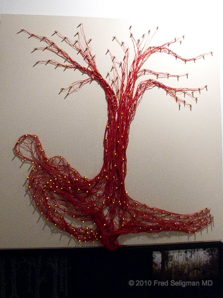 20101205_153857 G11.jpg - Art Basel 2010